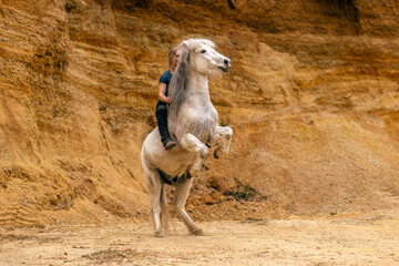 A young woman and her white icelandic horse gelding interacting in a sand pit; horsemanship concept