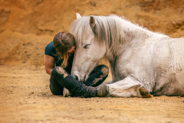 A young woman and her white icelandic horse gelding interacting in a sand pit; horsemanship concept