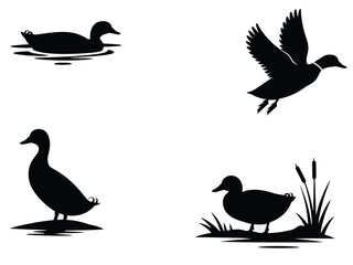 Set of black duck silhouette animal vector illustration on white background