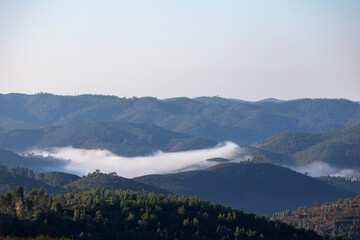 Fog condensation on the mountains