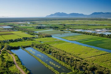 Aerial View of Lush Agricultural Fields