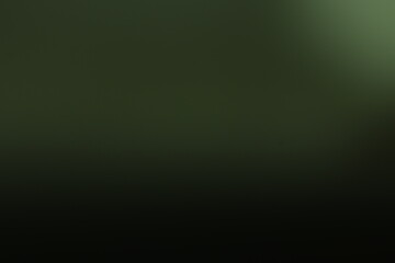 Solid Dark Green Background Texture for Banners and Wallpapers