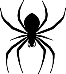 spider on a white background