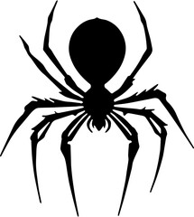 spider isolated on white background