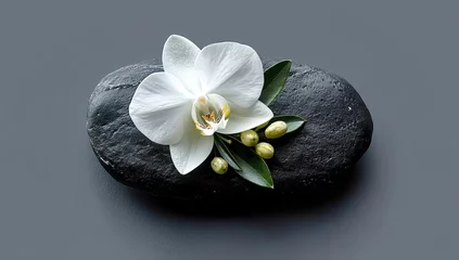 A black slate rock with an olive and white orchid flower on top, creating a minimalist floral
