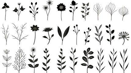 Detailed Set of Black Sketch Line Drawings of Flowers, Plants, and Leaves for Professional Use