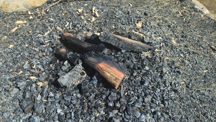Charred logs and blackened ash remain in a fire pit on scorched ground, evidence of a recently...