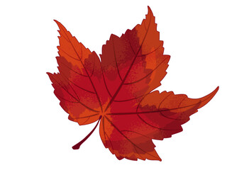 Maple Leaf
