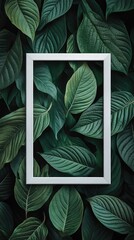 Framed Green Leaves