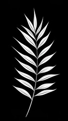 Fototapeta premium Botanical leaf illustration