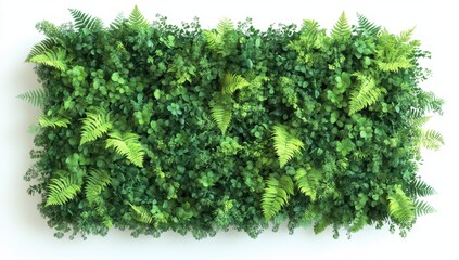 Obraz premium Lush Green Foliage Wall with Varied Leaf Textures