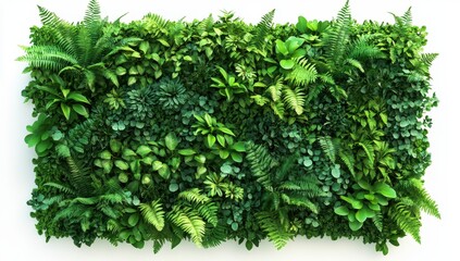 Naklejka premium Lush Green Plant Wall with Varied Foliage Against White Background