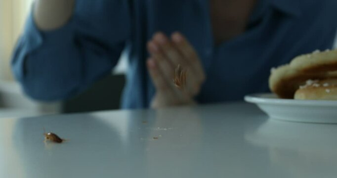 Young woman killing cockroaches with slipper at white table indoors, closeup. Pest problem
