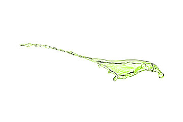 Splash of green water in air on white background