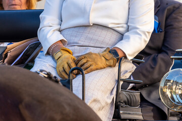 Detail of person on a Carriage coupling traditional event © Mauro Rodrigues