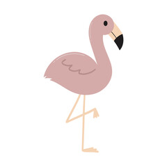 Beautiful Pink Flamingo