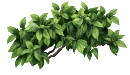  Green tree leaves PNG with transparent background, PNG file format, white background, PNG element, PNG cutout, high-resolution PNG
