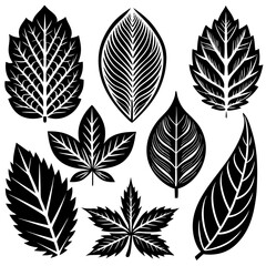 Silhouette Leaf Icons Collection