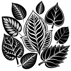 Silhouette Leaf Icons Collection