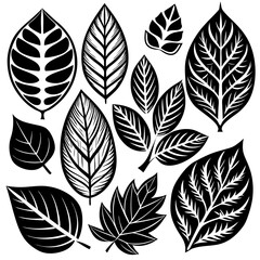 Silhouette Leaf Icons Collection