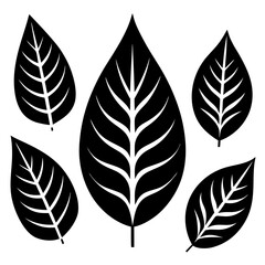 Silhouette Leaf Icons Collection