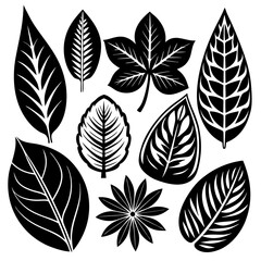 Silhouette Leaf Icons Collection