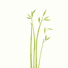 Botanical Illustration - bamboo in lime and ivory for natural product labels

