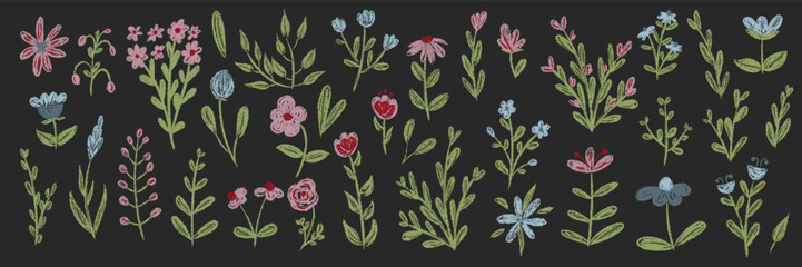 Set chalk botanic blossom floral elements. Branches, leaves, herbs, wild plants, flowers. Hand drawn garden, meadow field collection. Kids freehand vintage pencil textured vector illustration isolated
