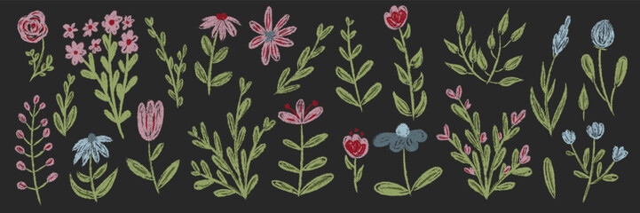 Set chalk botanic blossom floral elements. Branches, leaves, herbs, wild plants, flowers. Hand drawn garden, meadow field collection. Kids freehand vintage pencil textured vector illustration isolated