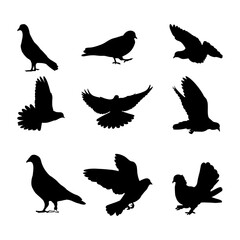 Hand drawn animals pigeon silhouette set