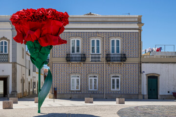 large red carnation flower in plaza © Mauro Rodrigues