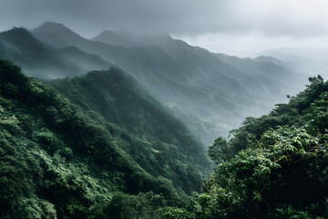 Naklejka premium Misty mountains with lush green vegetation and cloud-covered peaks creating a serene, scenic view