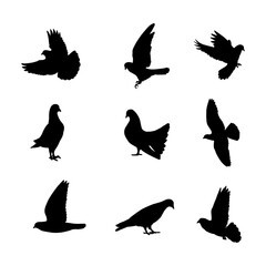 Hand drawn animals pigeon silhouette set collection