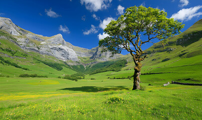 Fototapeta premium Verdant valley under sunny skies. Mountains backdrop tree in idyllic meadow scene
