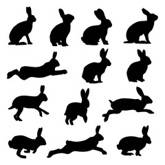 Hand drawn animals rabbit silhouette set collection
