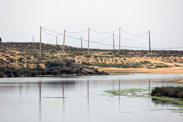 view of natural marshlands © Mauro Rodrigues