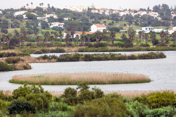 view of natural marshlands © Mauro Rodrigues