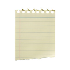 Piece of lined paper with torn edge and holes on top transparent background
