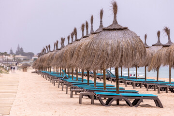 Row of straw parasol umbrellas on the beach © Mauro Rodrigues