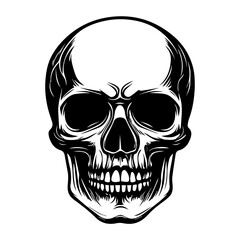 Fototapeta premium skull, Human Skull, Cartoon Skull Icon Silhouette