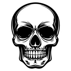 Fototapeta premium skull, Human Skull, Cartoon Skull Icon Silhouette