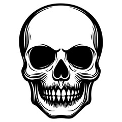 Obraz premium skull, Human Skull, Cartoon Skull Icon Silhouette