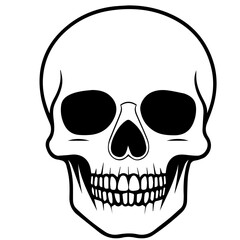 Fototapeta premium skull, Human Skull, Cartoon Skull Icon Silhouette