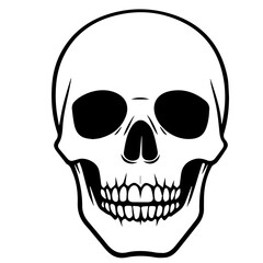 Fototapeta premium skull, Human Skull, Cartoon Skull Icon Silhouette