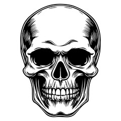 Fototapeta premium skull, Human Skull, Cartoon Skull Icon Silhouette