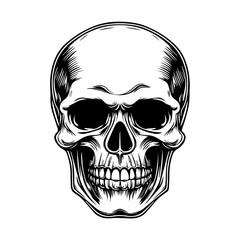 Fototapeta premium skull, Human Skull, Cartoon Skull Icon Silhouette