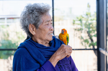 Happy senior woman feeding beautiful colorful Sun Conure parrots birds sitting on her shoulder. Ideal for exotic birds, pet photography, or wildlife portraits.