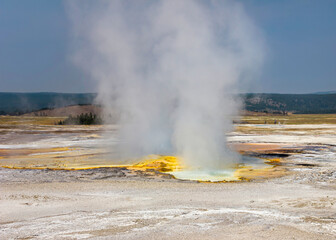 Old Faithful geyser erupts spectacularly in Yellowstone National Park under a clear blue sky