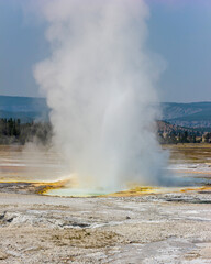 Geyser erupts with steam and colorful geothermal features in Yellowstone National Park during summer
