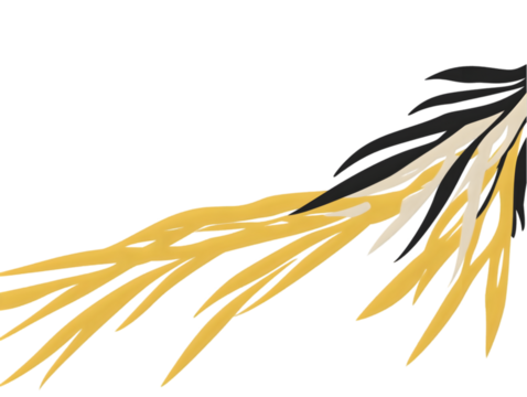 Abstract Decorative Floral Branch Illustration Isolated Background